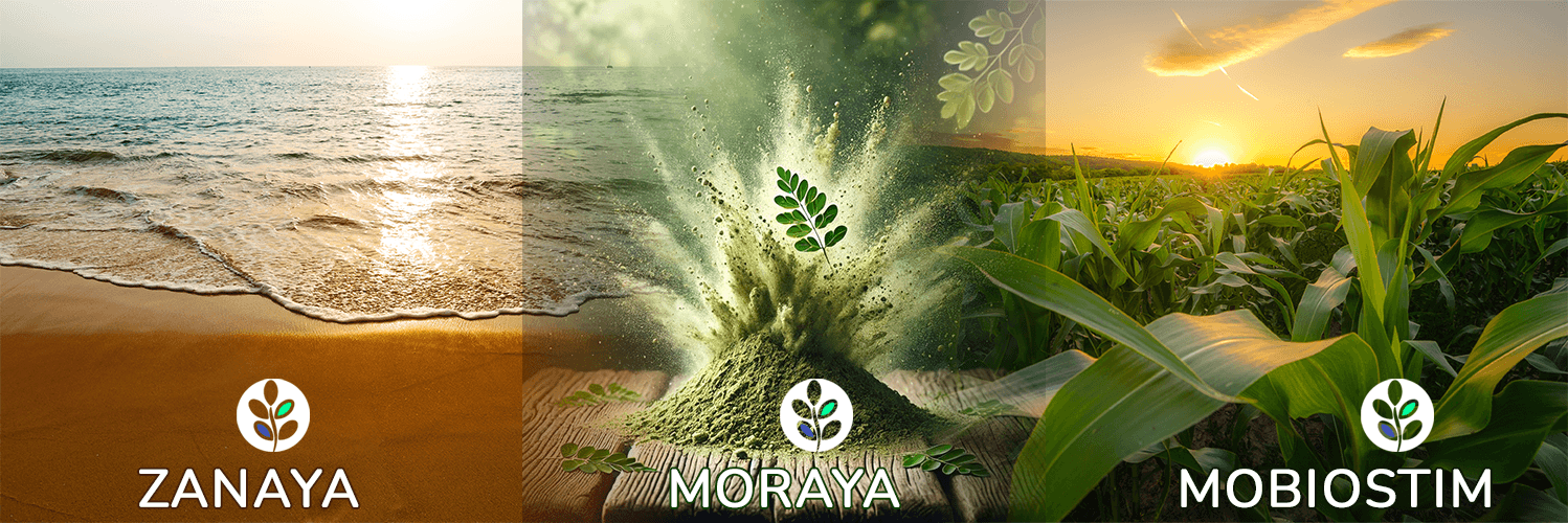 Our Brands: ZANAYA, MORAYA, MOBIOSTIM